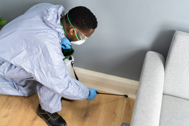 Professional Pest control in Cedar Mill, OR